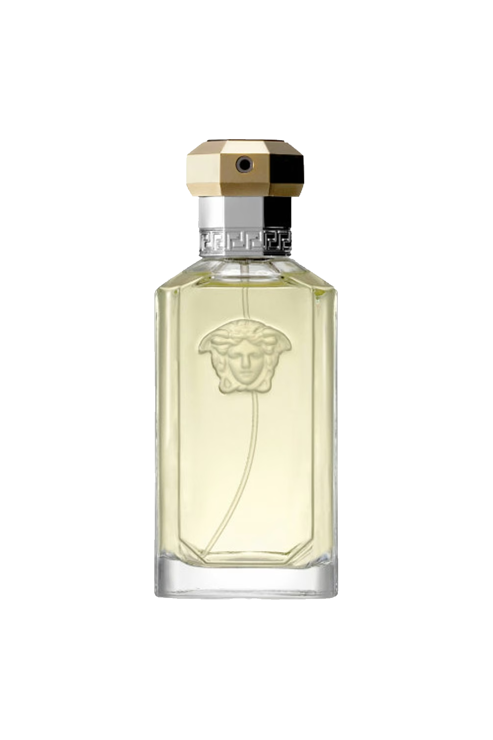 Versace Dreamer